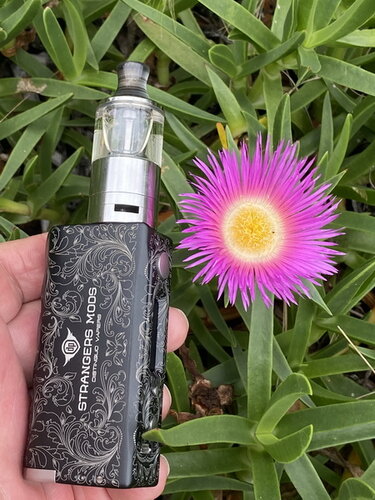 Walk Vape 210322 09.jpg