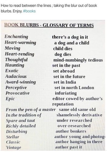 Book Blurbs.jpg