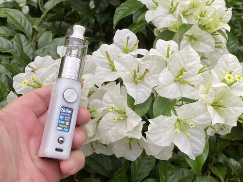 Walk Vape 210325 15.jpg