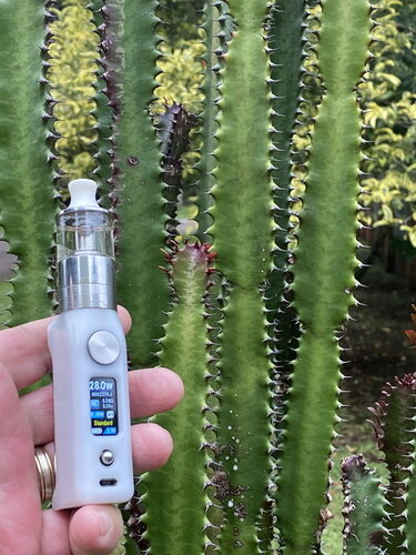 Walk Vape 210325 07.jpg