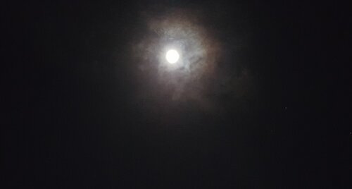 20210427_SUPER MOON.jpg