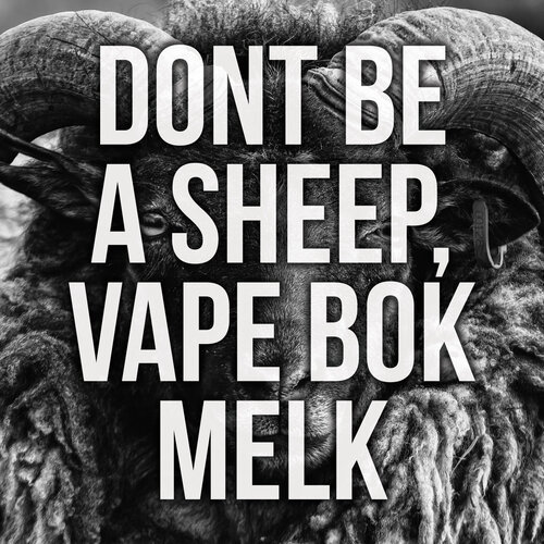 Bokmelk_Sheep_ad.jpg