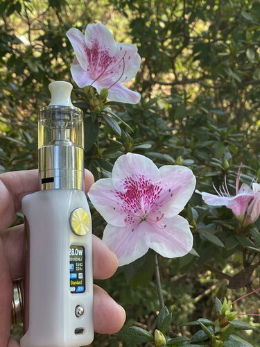 Walk Vape 210515 07.jpg