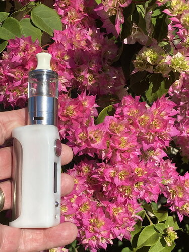 Walk Vape 210515 12.jpg