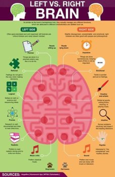 Left vs. Right Brain.jpg
