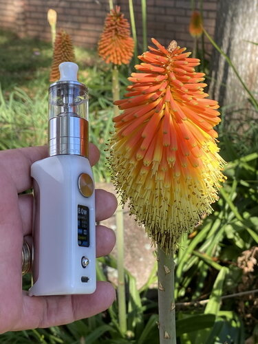 Walk Vape 210518 1.jpg