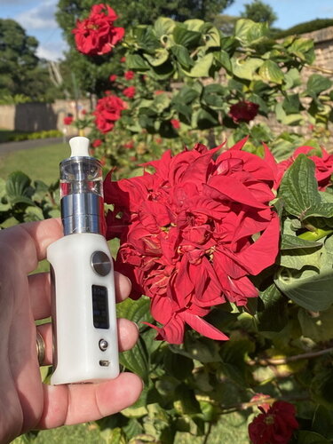 Walk Vape 210518 6.jpg