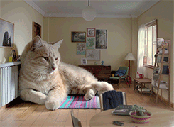 upload_2021-5-23_1-33-30.gif