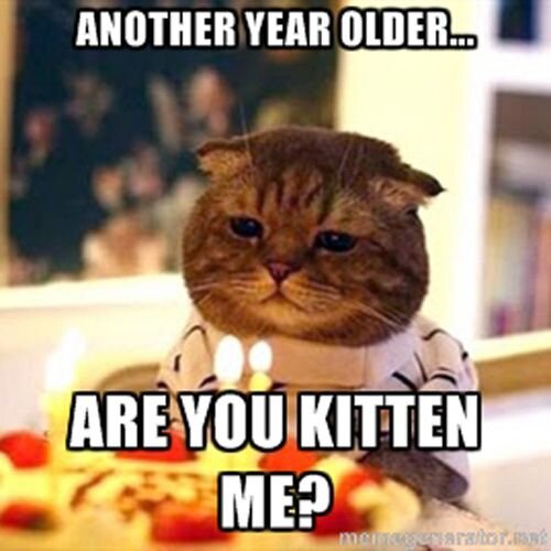 another-year-older-birthday-memes.jpg