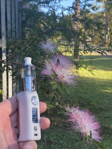 Walk Vape 210605 04.jpg