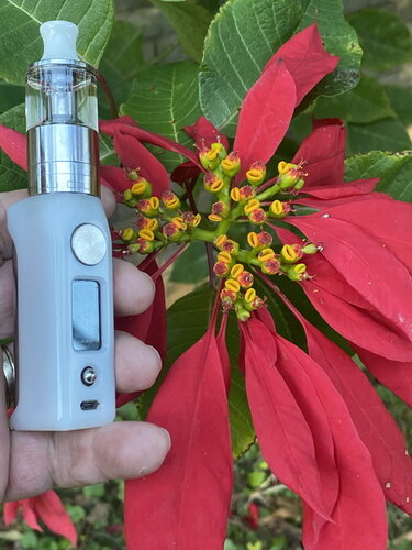 Walk Vape 210605 05.jpg