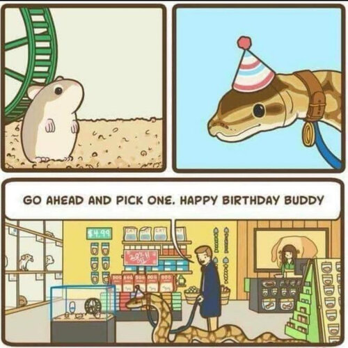 snakes-can-be-good-boys-too-and-deserve-birthday-presents-421398.jpg