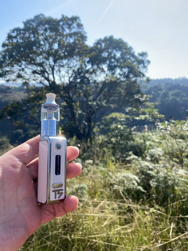 Walk Vape 210619 05.jpg