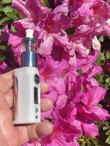 Walk Vape 210621 08.jpg