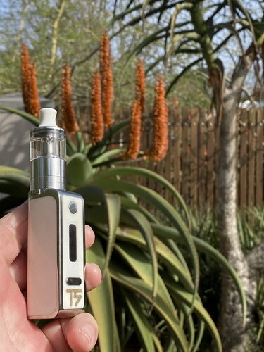 Walk Vape 210629 02.jpg