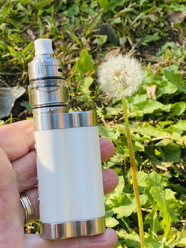 Walk Vape 210710 02.jpg