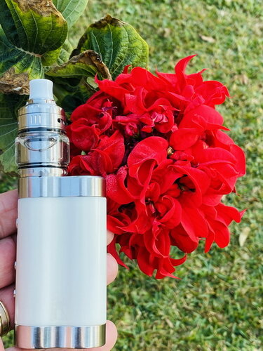 Walk Vape 210711 06.jpg