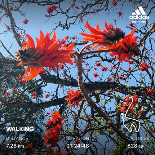 Walk 20210811 01.jpg