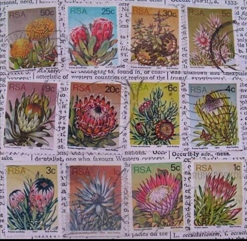 Stamps.jpg