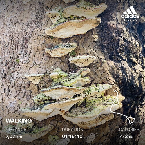Walk 210914 01.jpg