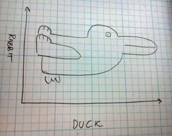 RabbitDuck.jpg