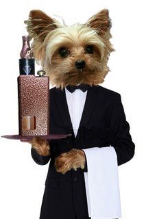 Dog Butler_zpsubdggcf7.jpg