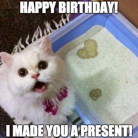 happy-birthday-i-made-you-a-present-cat-meme.jpg