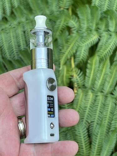 Walk Vape 211012 08.jpg