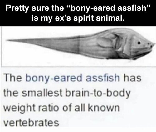 2021-10-18 19.44.38.jpg