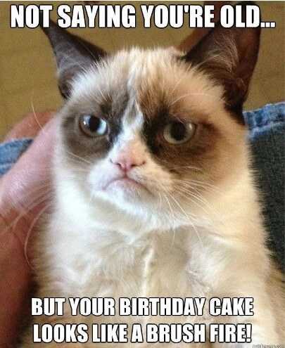 Happy-Birthday-Memes-with-Funny-Cat.jpg