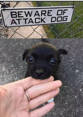 Beware of attack dog.png