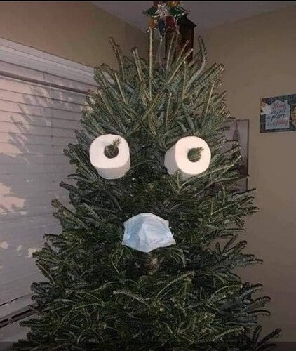 Xmas tree.jpg