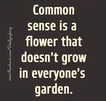 Commom sense.jpg