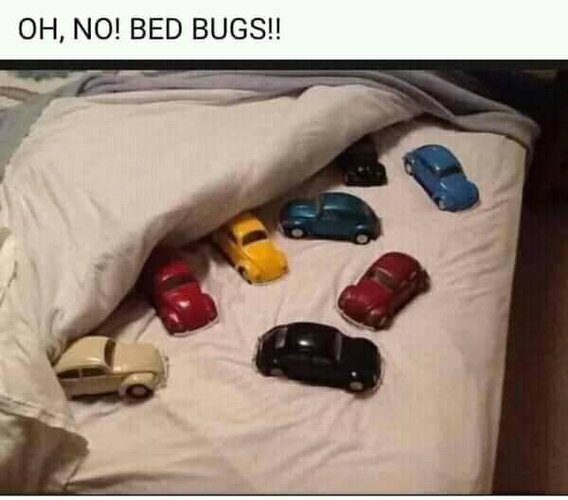 Oh no bed bugs.jpg