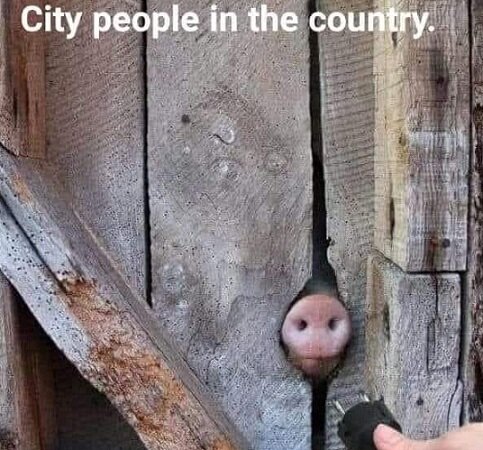 City people in the country.jpg