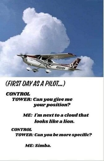 First day as a pilot.jpg