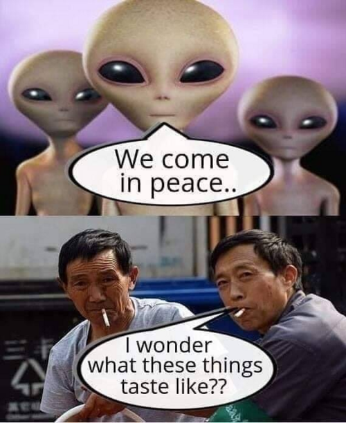 1662273175830.png