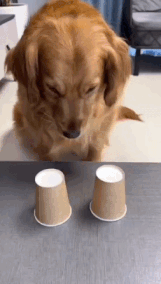 MrGSmokeFree Wrong one.gif