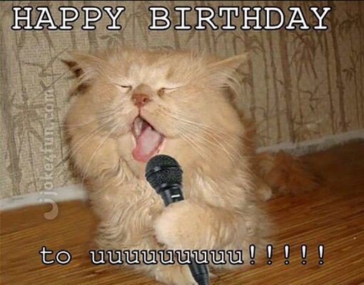 cat-singing-birthday-meme.jpg