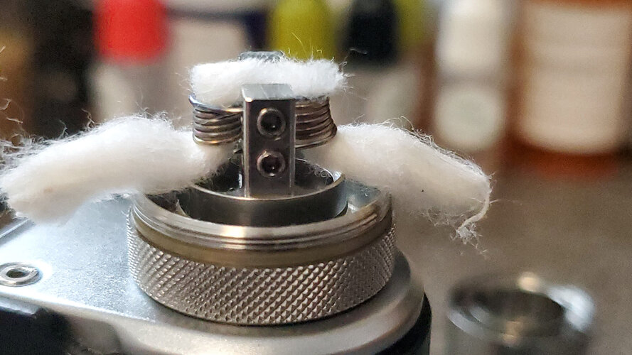 SC RDTA Tails.jpg