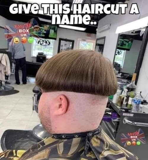 Give this haircut a name.jpg