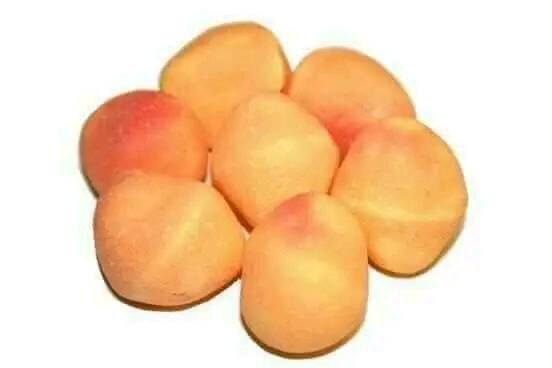 Apricot balls.jpg