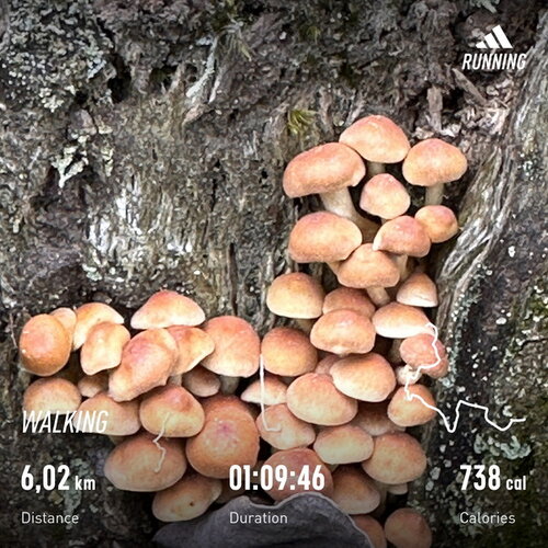 Walk 230103 23.jpg