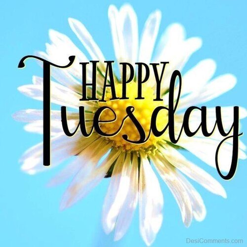 Tuesday-wishes-for-friends4.jpg