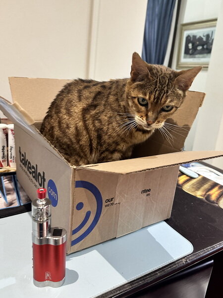 Choo in a Box 1.jpg