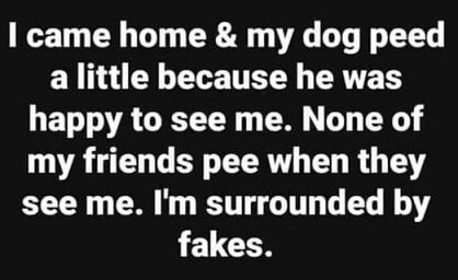 I came home.jpg