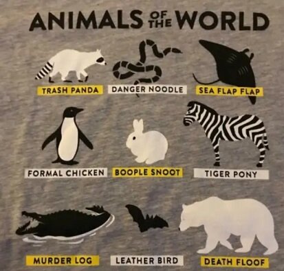 Animals of the world.jpg