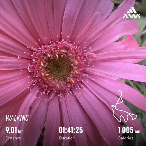 Walk 230728 19.jpg