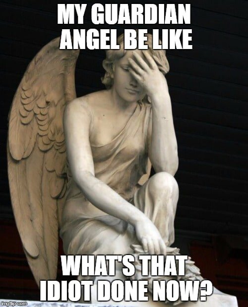 1691815341321.jpeg