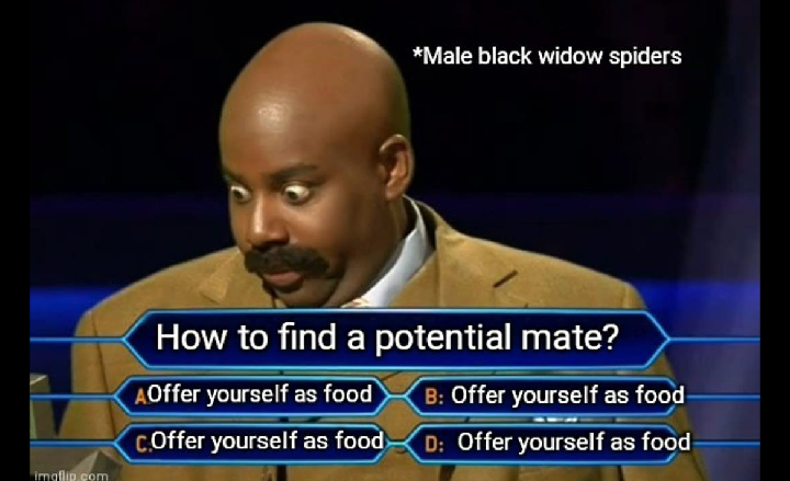 1691902852770.png